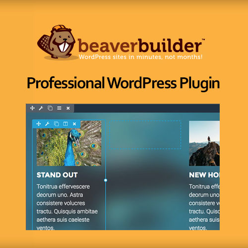 Beaver Builder Professional WordPress Plugin at $3.49 only - WPSHOP