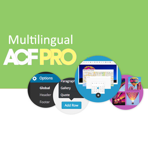Advanced Custom Fields Multilingual at $3.49 only - WPSHOP