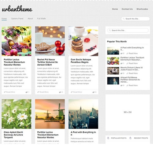 MyThemeShop Urban WordPress Theme at $3.49 only - WPSHOP