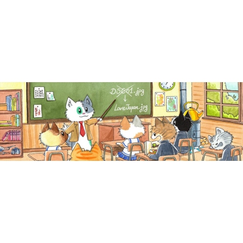 Media File Renamer Pro at 3.49 only