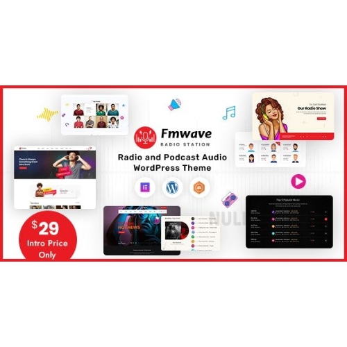 Fmwave Radio Station WordPress Theme + RTL at 3.49 only