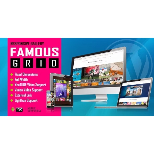 Famous - Responsive Image And Video Grid Gallery WordPress Plugin at $3 ...
