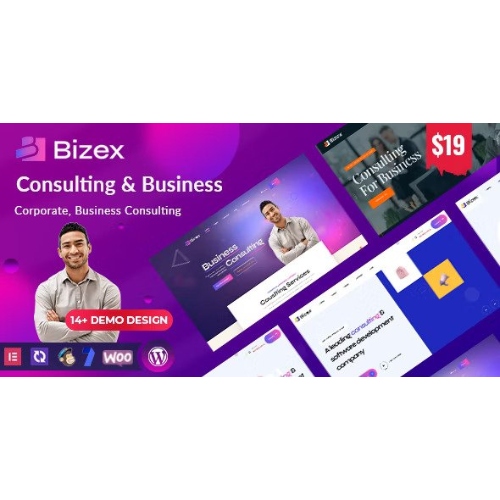 Bizex - Business Consulting WordPress Theme at $3.49 only - WPSHOP