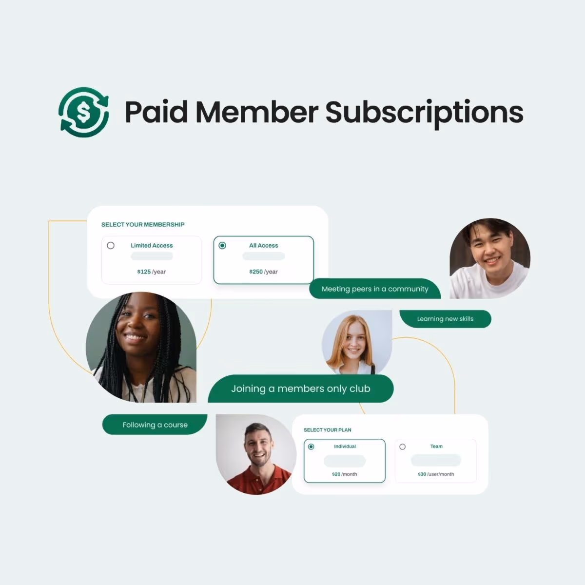 Paid Member Subscriptions Pro