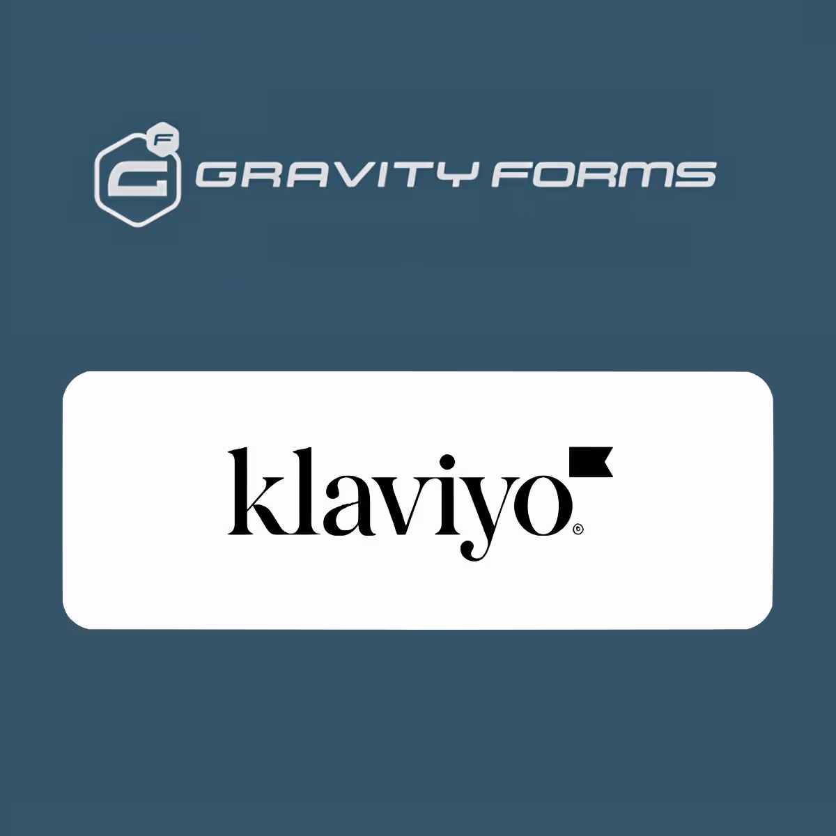 Gravity Forms Klaviyo Add-On